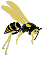 Gerald-G-Flying-wasp