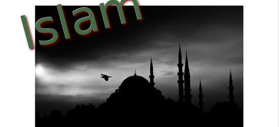 Artikel zur Islamkritik - Seitenheader - Faktum Magazin