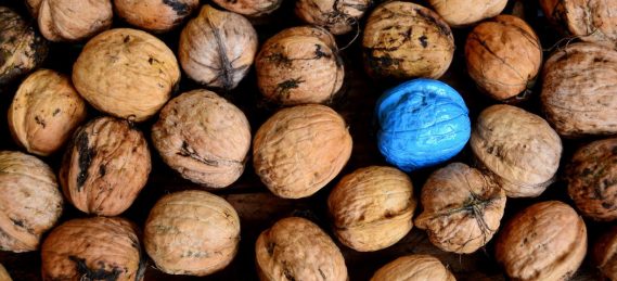 Diversity in der Politik - Faktum Magazin