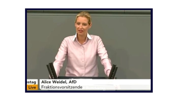 Video aus dem Bundestag: Alice Weidel über den Haushalt, Kopftuchmädchen und Taugenichtse