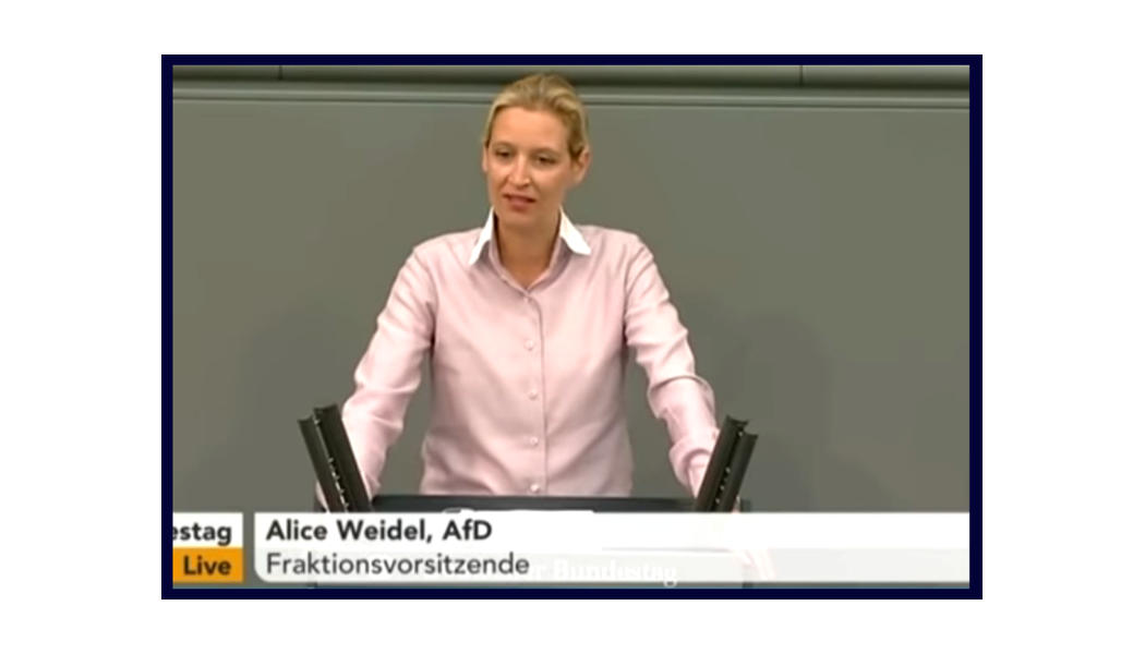 Alice Weidel - Bundestag - Faktum Magazin